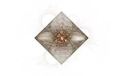 2014 03 25 Brown Diamond 7-white.jpg